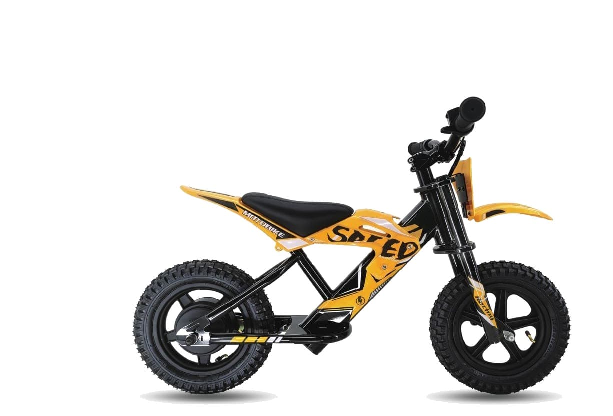 LENJOY LS-EM-003 Kids Electric Motorbike