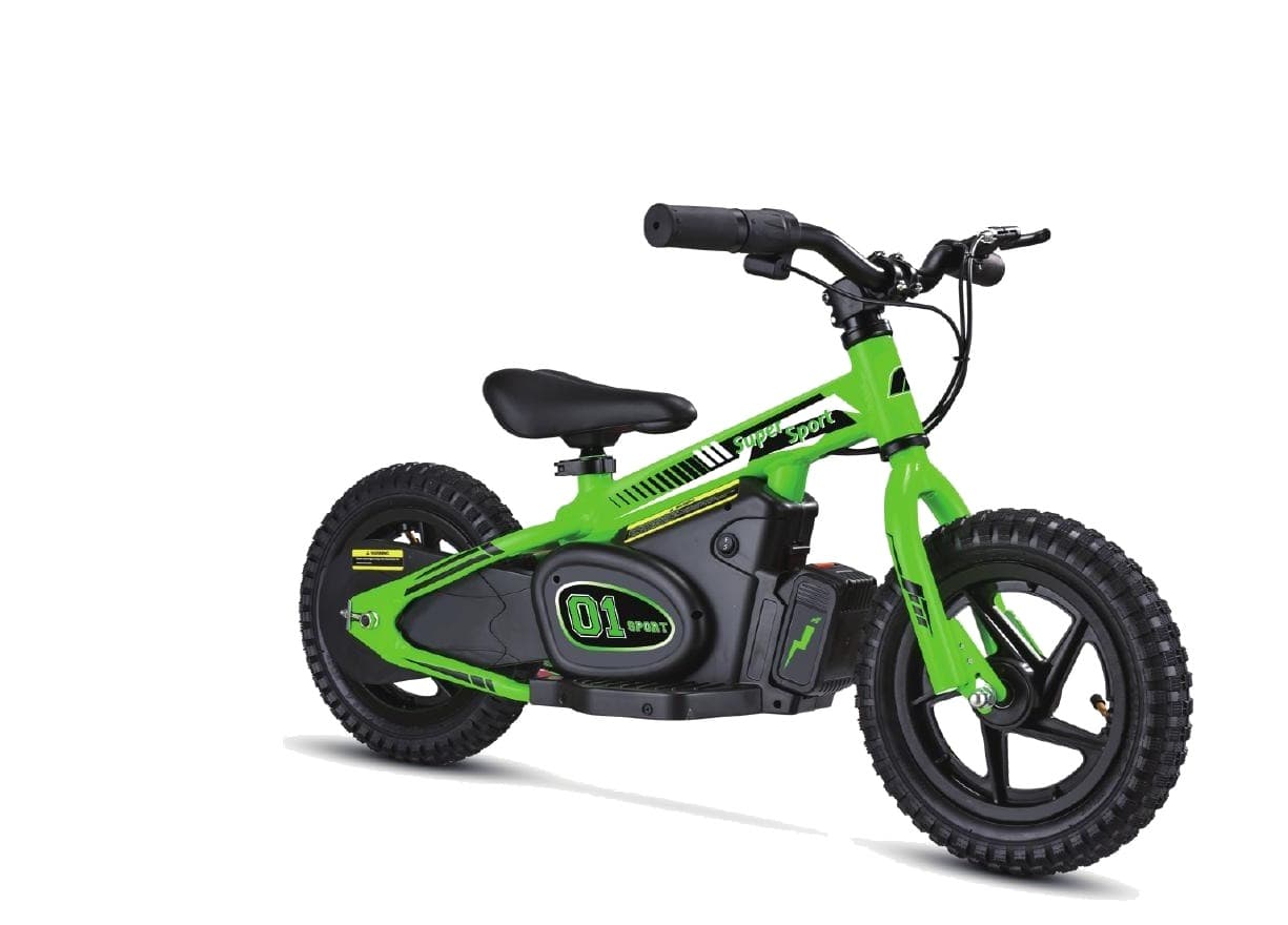 LENJOY LS-EM-005 Kids Electric Motorbike
