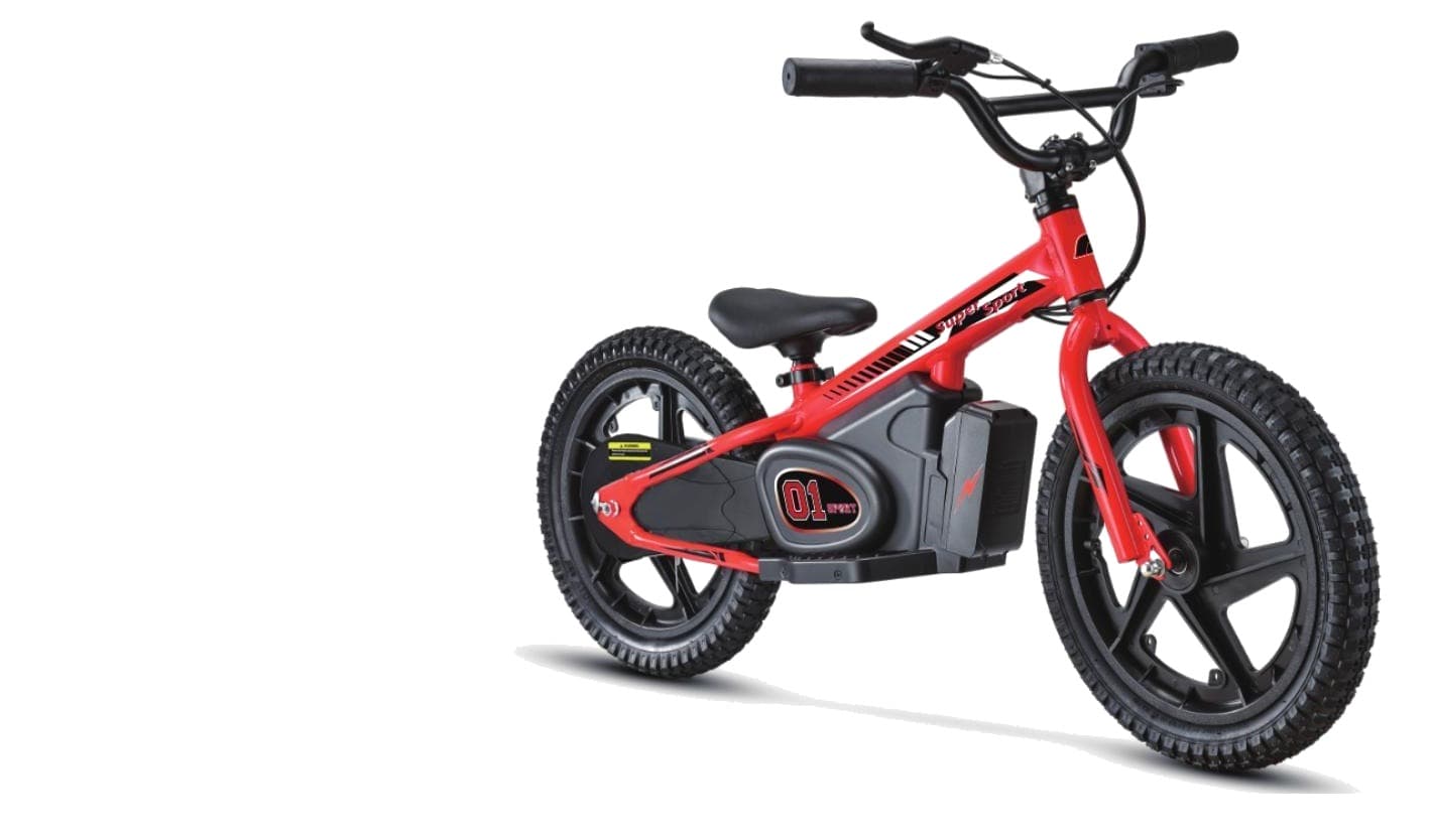LENJOY LS-EM-005 Kids Electric Motorbike 2