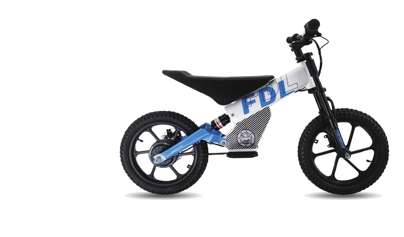 LENJOY LS-EM-006 Kids Electric Motorbike 2