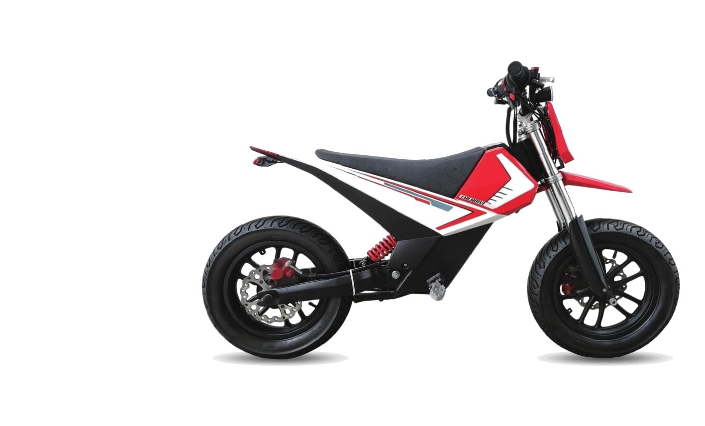 LENJOY LS-EM-007 Teen Electric Motorbike 2