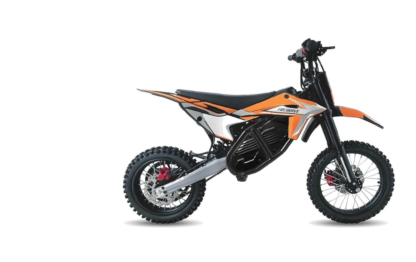 LENJOY LS-EM-008 Teen Electric Motorbike 2