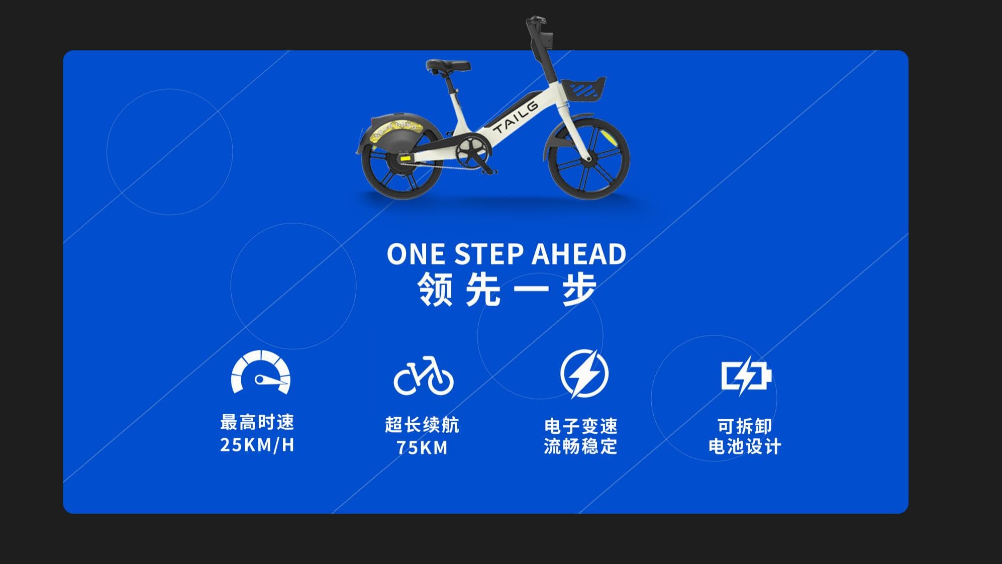 TAILG TL1 Pedal-Assist E-Bike 2