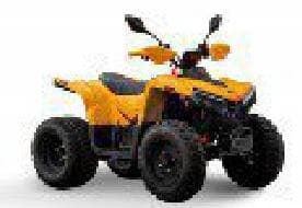 Zongshen Children's Electric ATV (E-ATV Kids) 3