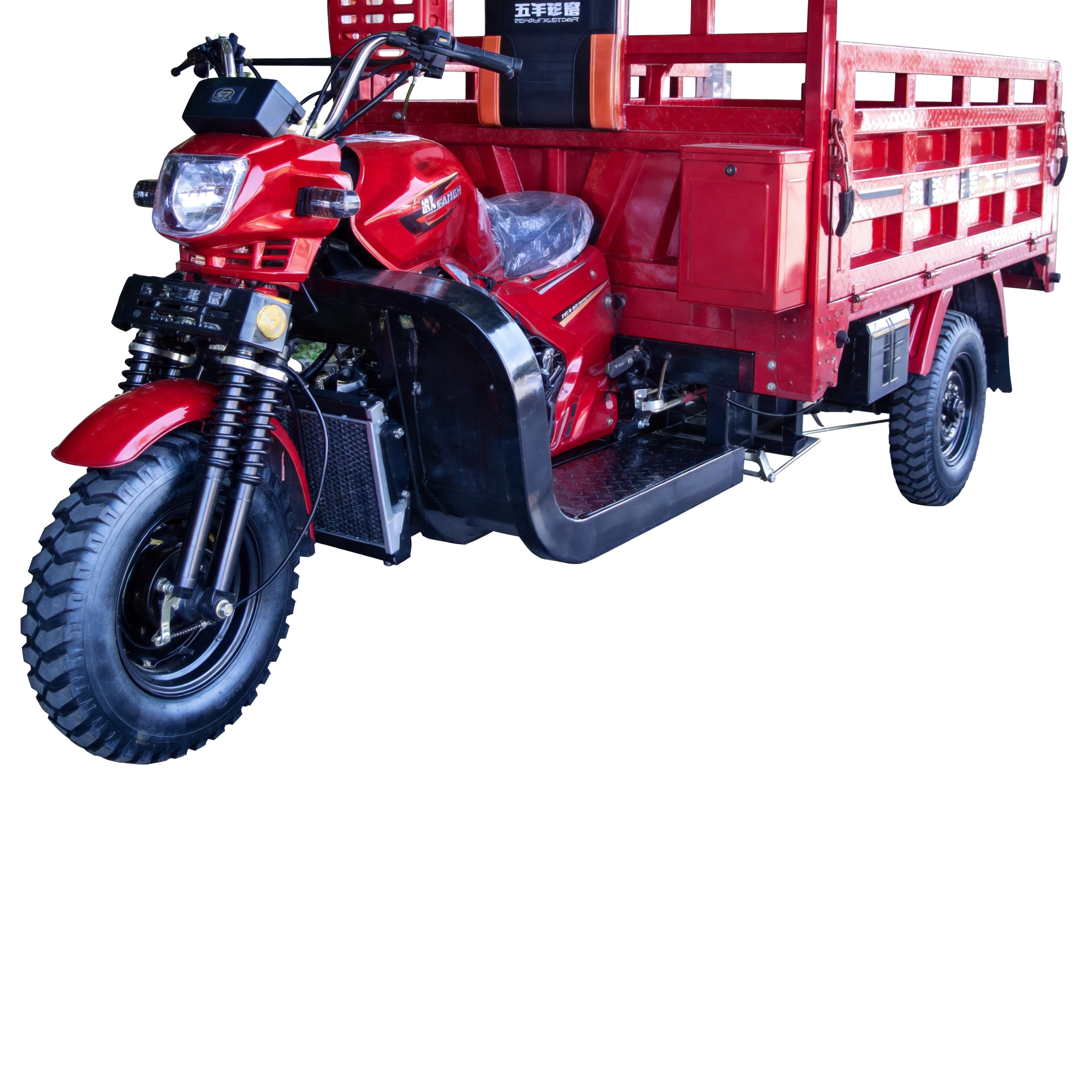 Jialing Zhanlang Heavy-Duty Cargo Tricycle (JH200ZH-5A)