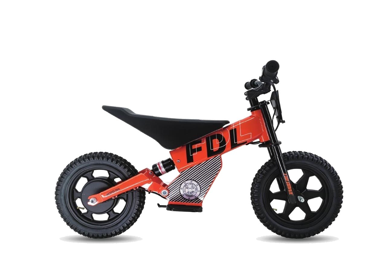 LENJOY LS-EM-006 Kids Electric Motorbike